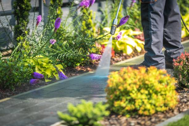 Best Driveway Pressure Washing  in Claremont, NH